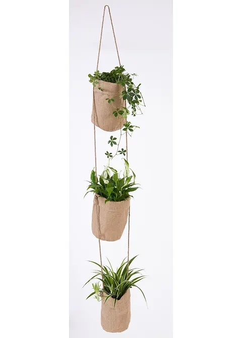 Pflanzhalter für 3 Pflanzen in beige - bonprix Pflanzhalter für 3 Pflanzen in beige - bonprix