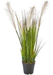 Kunstpflanze mit Gräsern, bpc living bonprix collection