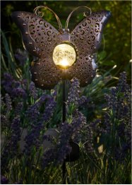 Solar Gartenstecker mit Schmetterling, bpc living bonprix collection