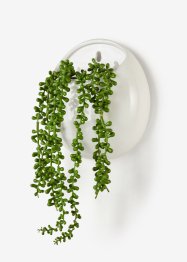 Kunstpflanze zum Hängen im Keramiktopf, bpc living bonprix collection