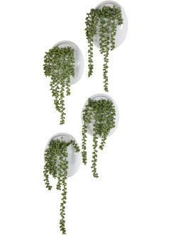 Kunstpflanze im Wandtopf (1er Pack), bpc living bonprix collection