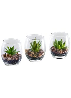 Kunstpflanze Sukkulenten im Glas (3-tlg.Set), bpc living bonprix collection