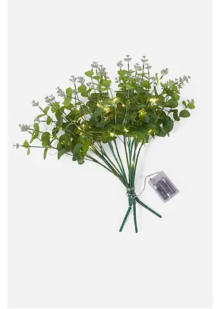 LED-Kunstpflanze Eukalyptus Zweige (3er Pack) in grün - bpc living bonprix collection