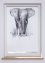 Verdunkelungsrollo mit Digitaldruck Elefant, bpc living bonprix collection