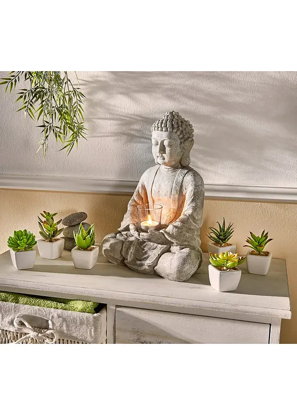 Kunstpflanzen in Sukkulenten-Design (6-tlg.Set) in grün (Ambiente) - bonprix