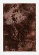 braun
